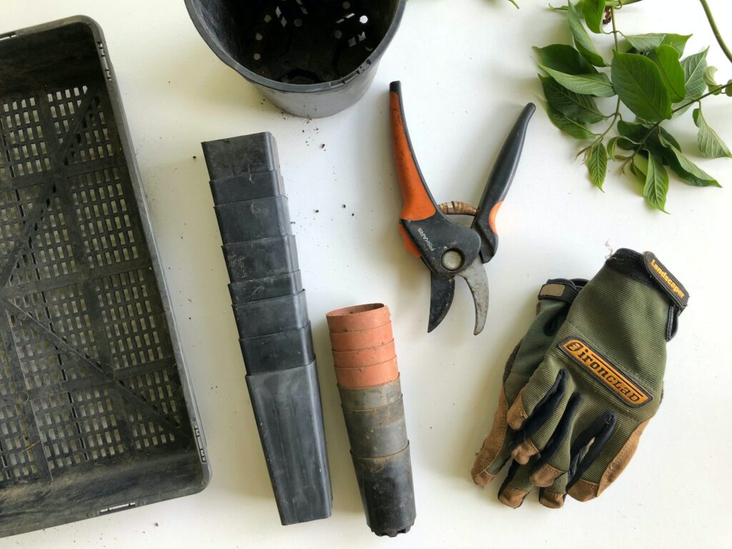 Best Gardening Tools for Professionals